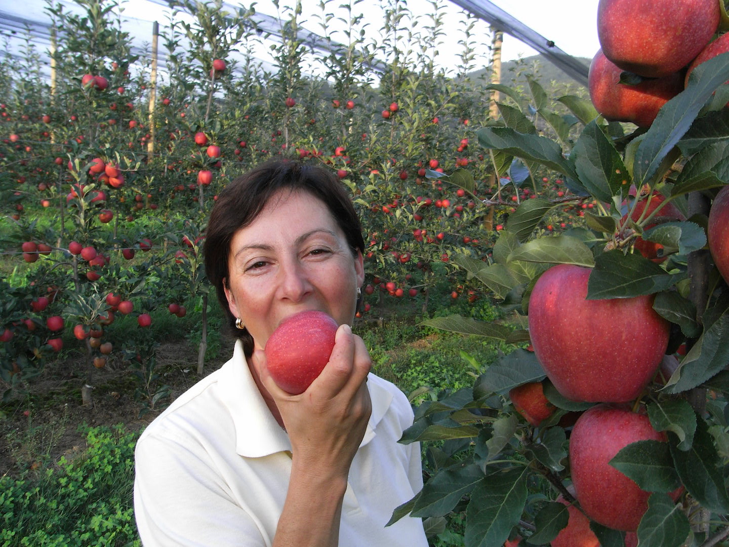 Obstbau Knaller Elisabeth beißt in Apfel