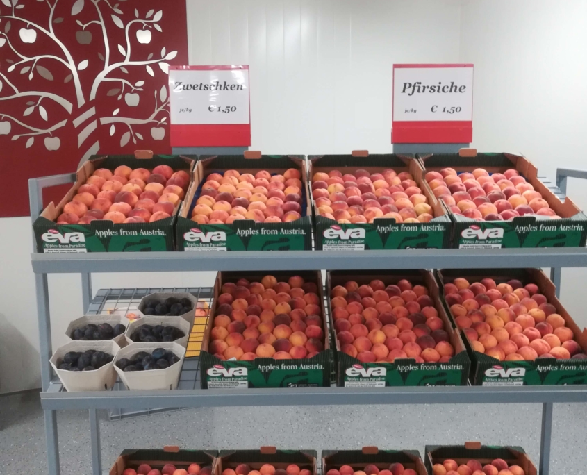 Obstbau Knaller Pfirsiche Hofladen